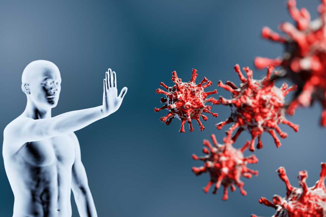 सर्दी-जुकाम रहेगा दूर और बढ़ेगी इम्यूनिटी,रोजाना खाएं ये पदार्थ: (Healthy food items to increase your immunity)